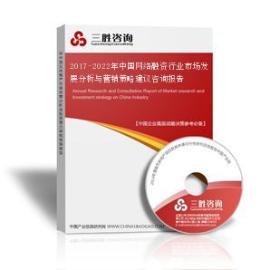 2017-2022年中國網絡融資行業(yè)市場發(fā)展分析與營銷策略建議